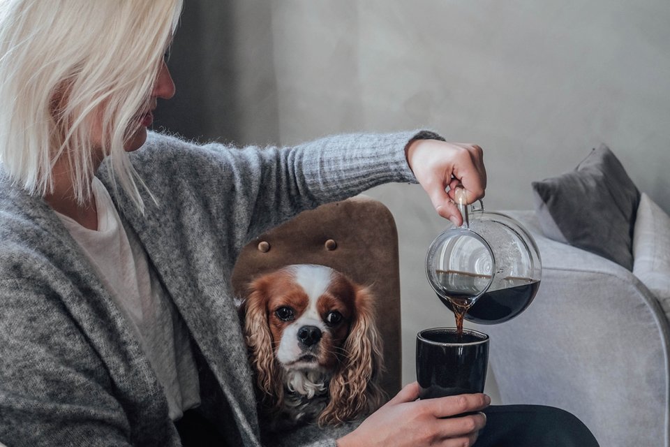 Woman sits on a couch with a dog and pours coffee into a cup.